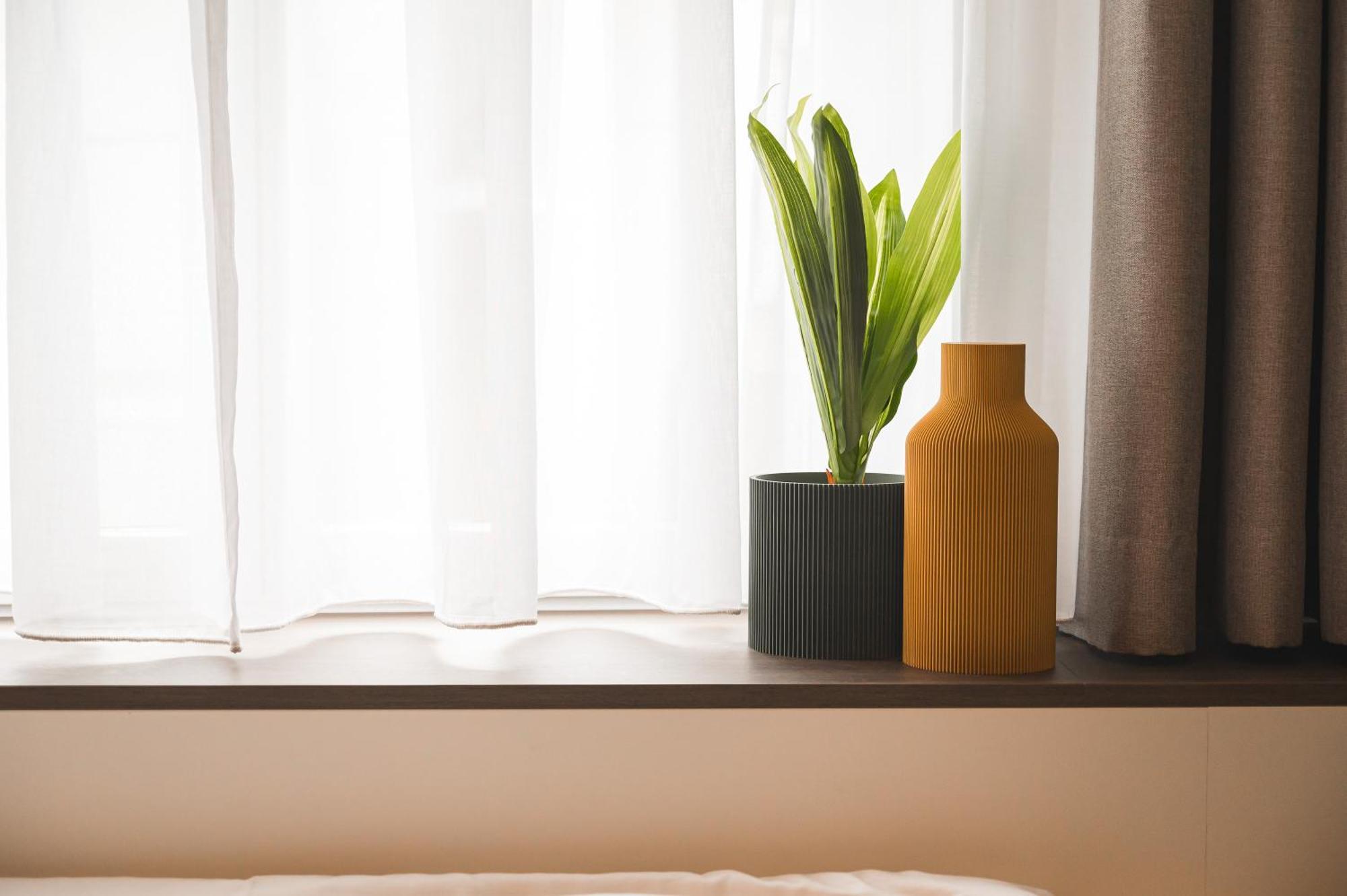 Hotel Jungle No5 Boutique - City-center